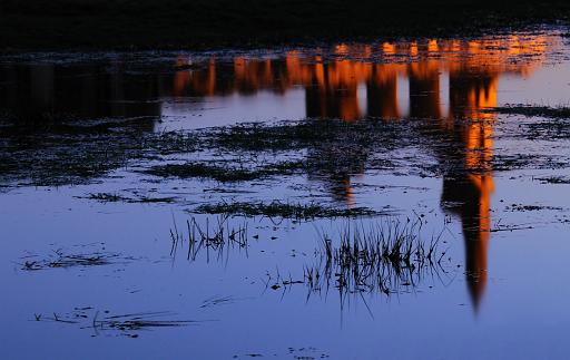 DSC_1800-c-Cloned-NR.jpg - Byland Abbey Reflection, North Yorkshire