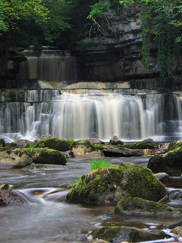 CRW_2995.jpg - Cotter Force