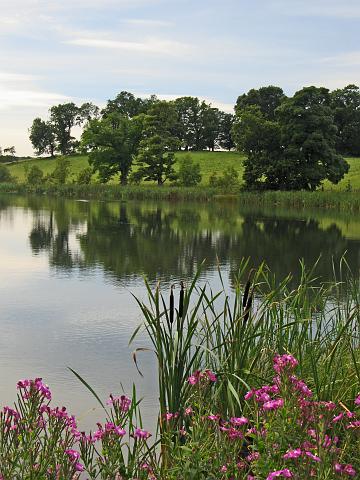 CRW_6316.jpg - The Lake, Belsay Park