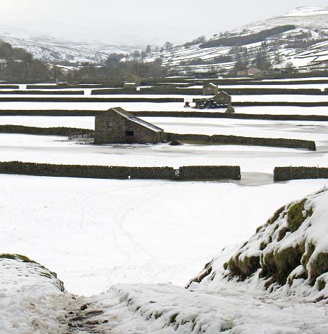 CRW_8275.jpg - Below Low Row, Swaledale 2