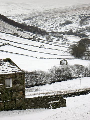 CRW_8289.jpg - Gunnerside, Swaledale
