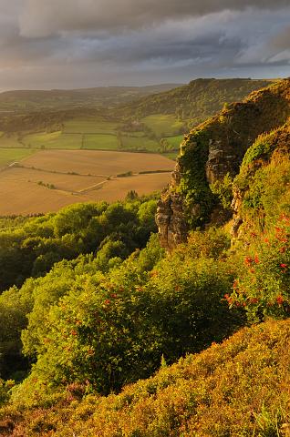 DSC_0311.jpg - Summer Evening, Roulston Scar