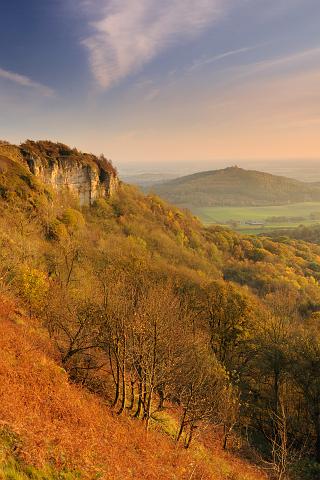 DSC_1815-c.jpg - Whitestone Cliff And Hood Hill-Autumn
