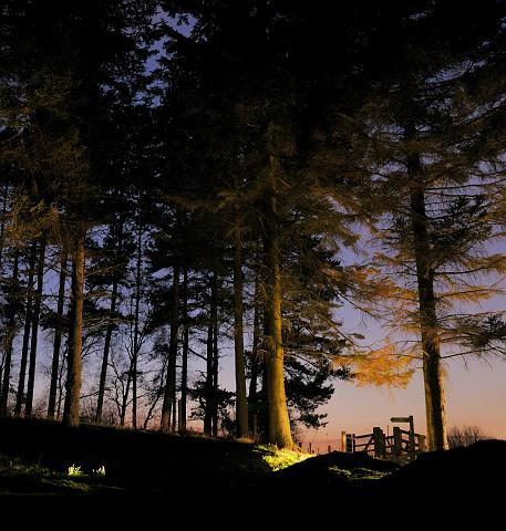 DSC_1905.jpg - Late Evening, Gribdale Gate