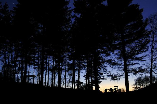 DSC_1938.jpg - Gribdale Gate Silhouette