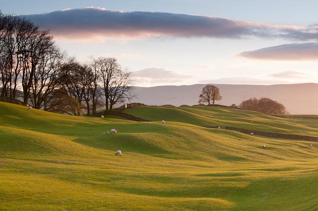 DSC_2111.jpg - Wensleydale