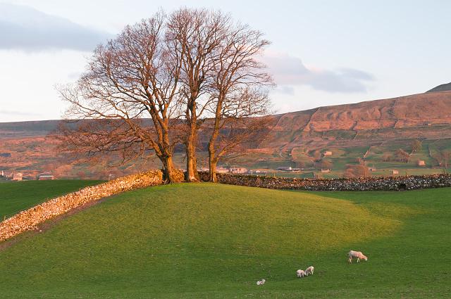 DSC_2125.jpg - Wensleydale