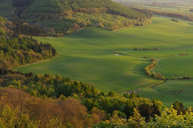DSC_2282.jpg - Happy Valley, Sutton Bank