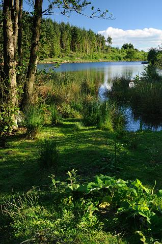 DSC_2661.jpg - Cod Beck Reservoir, Osmotherley