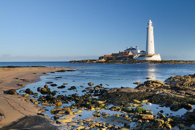 DSC_2940a.jpg - Winter Dawn, St Mary's Lighthouse III