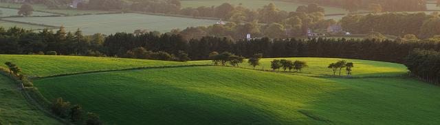 DSC_3171.jpg - Summer Evening From Cockshaw Hill, Great Ayton