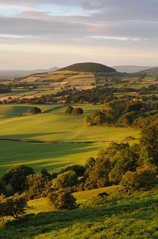 DSC_3365.jpg - Whorl Hill