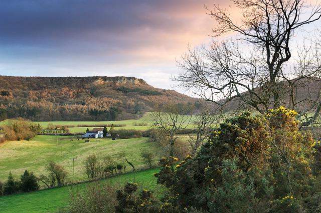 DSC_3374a.jpg - Valley View, Roulston Scar And Hood Hill