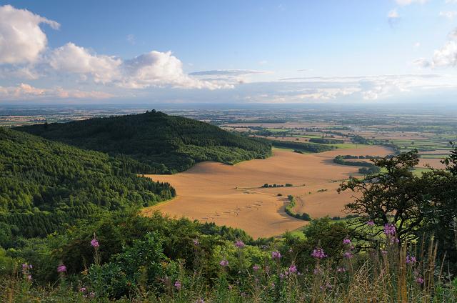 DSC_3609.jpg - Crop Circles, Happy Valley, Sutton Bank, Landscape