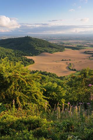 DSC_3622-SH.jpg - Crop Circles, Happy Valley, Sutton Bank, Portrait