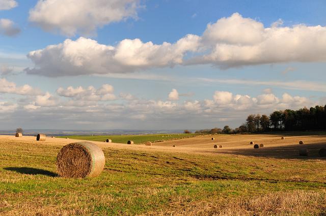 DSC_5291.jpg - Straw Bales Across Scawton Moor