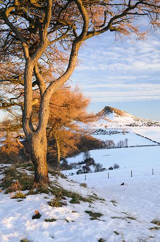 DSC_5538.jpg - Roseberry Topping From Cliff Ridge, Winter, Portrait