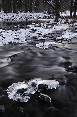 DSC_5878.jpg - Winter Scene, Low Burn, Masham