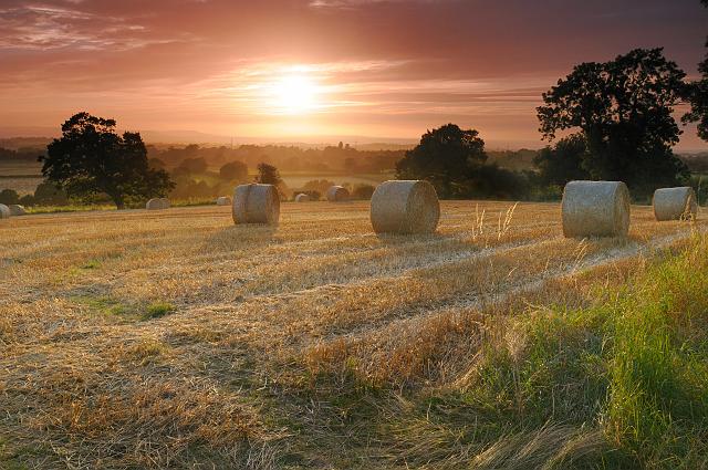 DSC_6217.jpg - Straw Bales Above Knayton