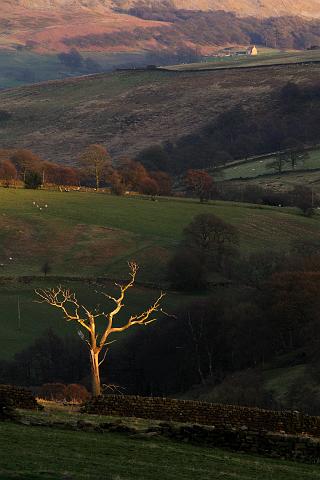 DSC_6504.jpg - Near Waterfall Wood, Snilesworth