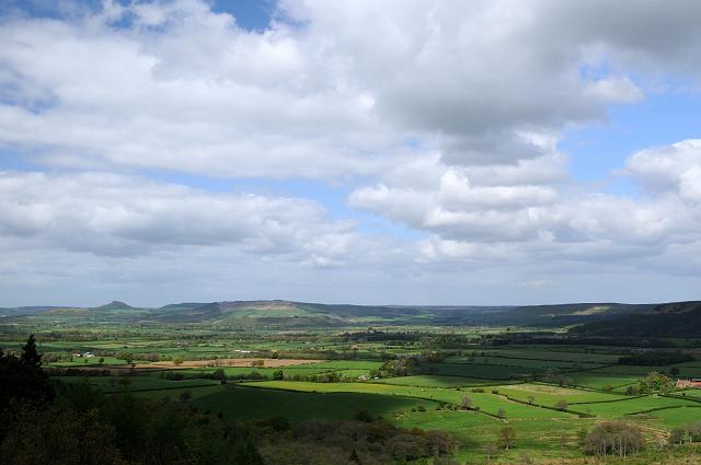 DSC_6892.jpg - Clay Bank To Roseberry Topping