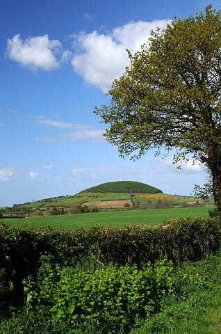 DSC_6954.jpg - Whorl Hill, Faceby