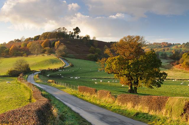 DSC_7103.jpg - Knowle Hill