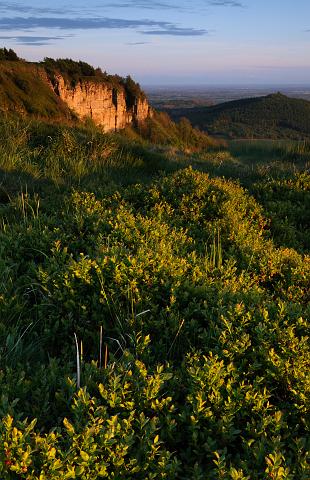 DSC_7105.jpg - Sutton Bank And Hood Hill