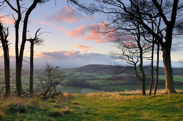 DSC_7245.jpg - Boltby Scar