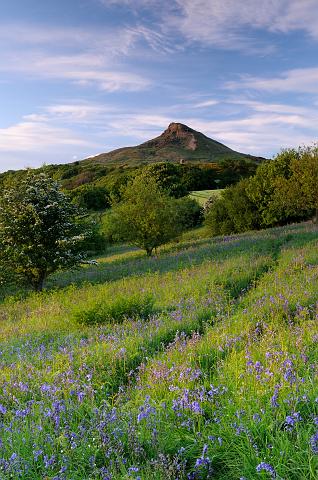 DSC_7707.jpg - Roseberry Topping
