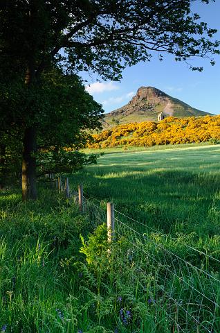 DSC_7746.jpg - Roseberry Topping And The Shooting Box From Newton Wood