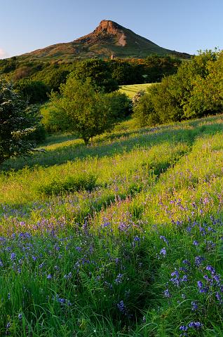 DSC_7767.jpg - Roseberry Topping In Spring