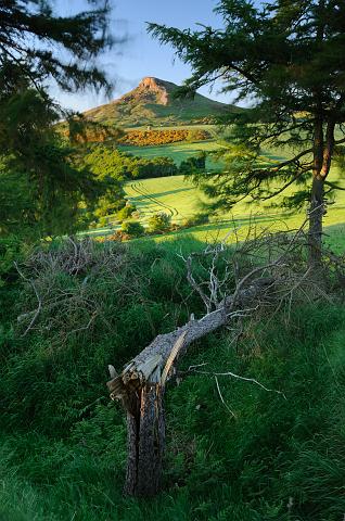 DSC_7786.jpg - Roseberry Topping From Cliff Ridge