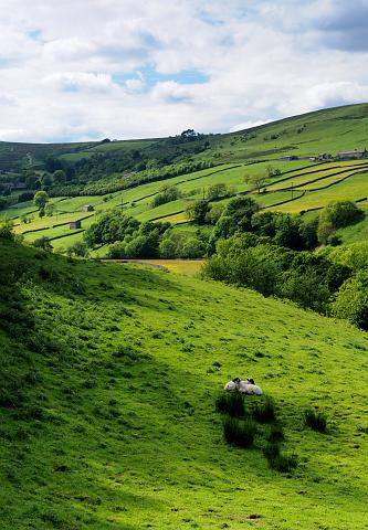 DSC_7922_003.jpg - Sheepfold, Gunnerside, Swaledale