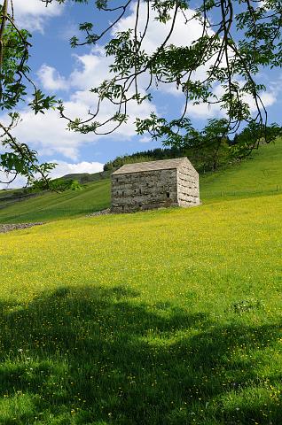 DSC_7931.jpg - Stone Barn In Spring Meadow, Swaledale