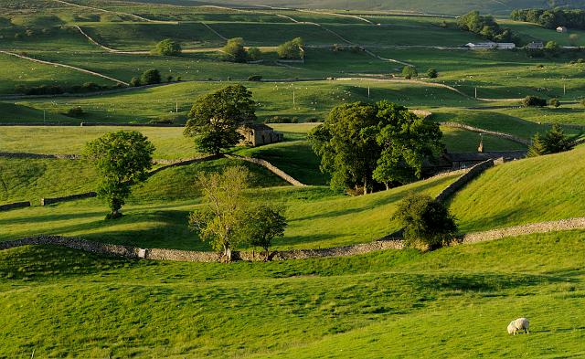 DSC_8060-C1.jpg - Catriggs Farm, Wensleydale
