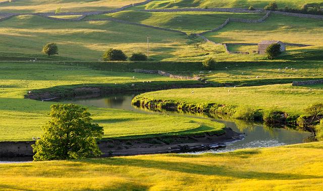 DSC_8064-Crop.jpg - River Ure