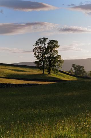 DSC_8072.jpg - Evening Sunlight Outside Burtersett
