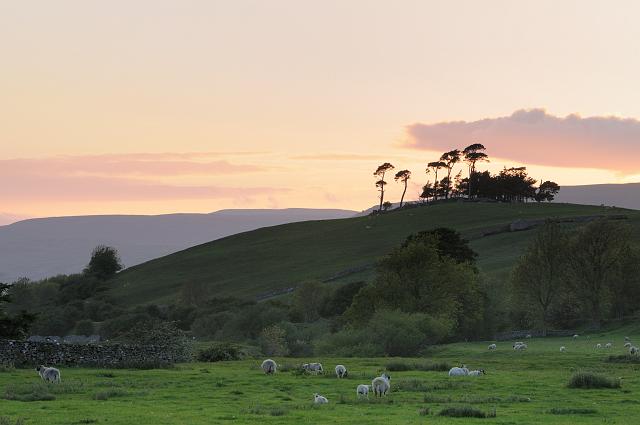 DSC_8217.jpg - Lady Hill, Wensleydale