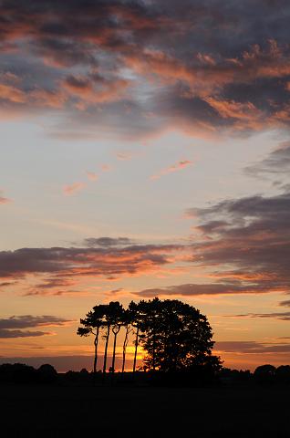 DSC_8806.jpg - Sunset, Looking Towards Tame Bridge, Stokesley