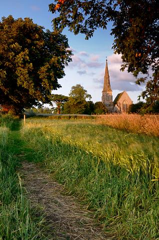 DSC_8967.jpg - All Saints' Church, Great Thirkleby, Summer