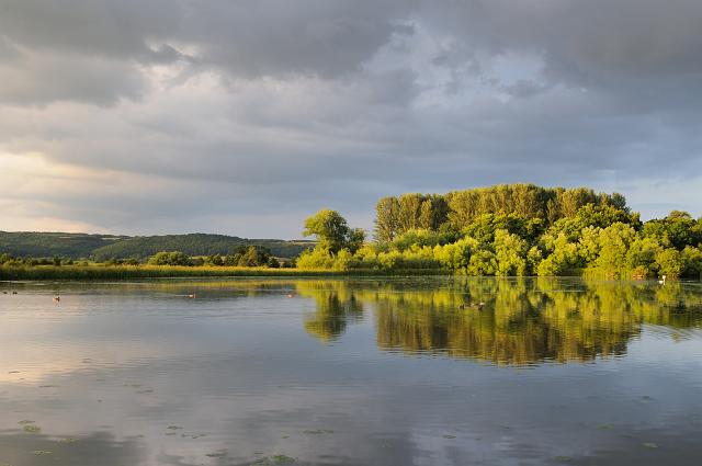DSC_9141.jpg - Newburgh Priory Lake