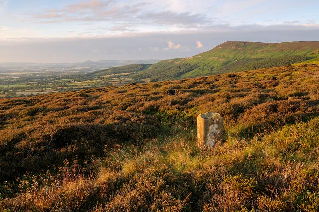 DSC_9425.jpg - Towards, Calton Bank And Roseberry Topping From Round Hill 1