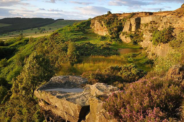 DSC_9566.jpg - Cliff Edge, Cockshaw Hill, Ayton Banks