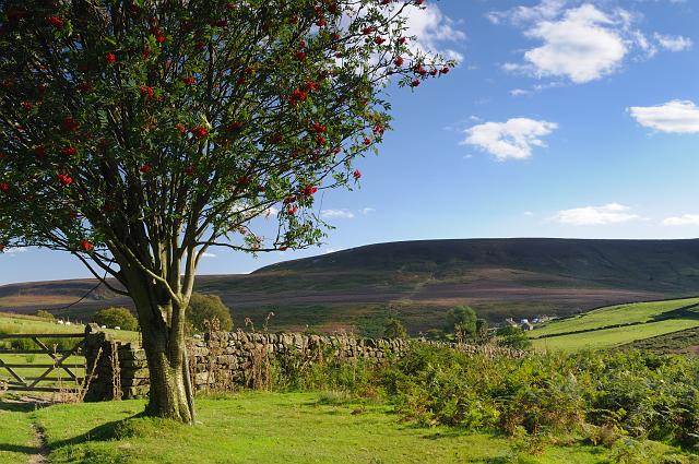 DSC_9851.jpg - Towards Dale Head And Arden Great Moor