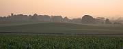 CRW_1849