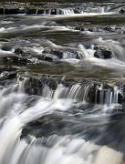 CRW_3886-crop