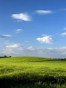 CRW_5267