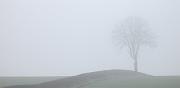 CRW_8043a