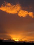 CRW_8566
